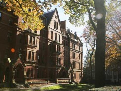 Biznes na uczelniach – taka współpraca się opłaca