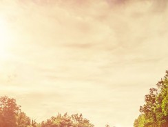 MPiPS wydało poradnik dla pracodawców i pracowników