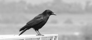 Kluczowe kompetencje kadry przyszłości