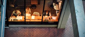 Jak wyszkolić swoich przyszłych pracowników?