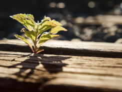 Inwestycje w technologie cyfrowe i zrównoważony rozwój – co dzięki nim zyskamy?