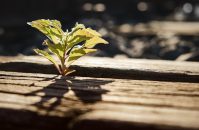 Inwestycje w technologie cyfrowe i zrównoważony rozwój – co dzięki nim zyskamy?