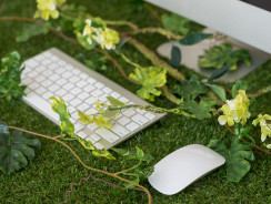 Firma przyjazna środowisku!