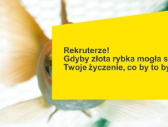 Rekruterze! Gdyby złota rybka mogła spełnić Twoje życzenie, co by to było?
