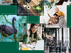 Raport CSR od FOB już dostępny!