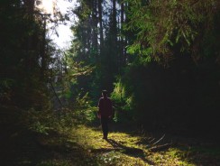 Dodatkowy urlop jako benefit